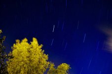 DSC_1522.jpg DSC_1522.jpg