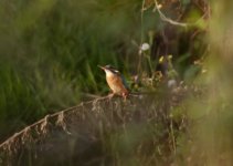 DSC_1054.jpg DSC_1054.jpg