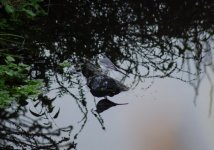 DSC_1057.jpg DSC_1057.jpg