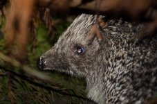 DSC_1350.jpg DSC_1350.jpg