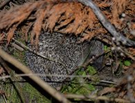 DSC_1356.jpg DSC_1356.jpg