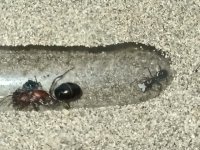 WhatsApp Image 2025-12-08 at 19.18.07.jpeg WhatsApp Image 2025-12-08 at 19.18.07.jpeg