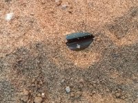 WhatsApp Image 2025-12-08 at 19.18.07 (1).jpeg WhatsApp Image 2025-12-08 at 19.18.07 (1).jpeg