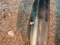 WhatsApp Image 2025-12-08 at 19.18.07 (4).jpeg WhatsApp Image 2025-12-08 at 19.18.07 (4).jpeg