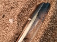 WhatsApp Image 2025-12-08 at 19.18.07 (3).jpeg WhatsApp Image 2025-12-08 at 19.18.07 (3).jpeg