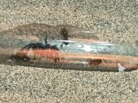 WhatsApp Image 2025-12-08 at 19.18.06 (1).jpeg WhatsApp Image 2025-12-08 at 19.18.06 (1).jpeg