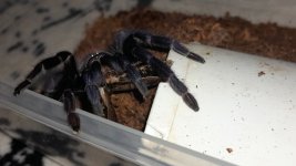 1000367841.jpg 1000367841.jpg