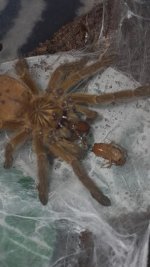 1000364173.jpg 1000364173.jpg