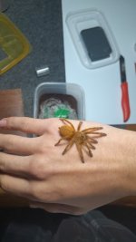 1000358409.jpg 1000358409.jpg