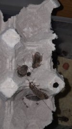 1000368287.jpg 1000368287.jpg