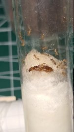 WhatsApp Image 2025-12-16 at 19.36.54.jpeg