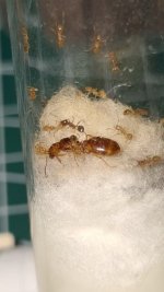 WhatsApp Image 2025-12-16 at 19.36.53 (1).jpeg