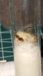 WhatsApp Image 2025-12-16 at 19.36.53.jpeg