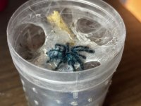 WhatsApp Image 2025-12-22 at 13.00.09.jpeg