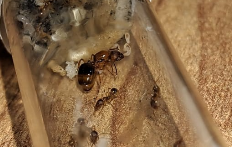 Ekran görüntüsü 2026-01-04 124138.png