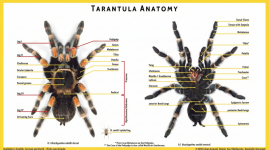 Gemini_Generated_Image_d8r8ard8r8ard8r8.png Gemini_Generated_Image_d8r8ard8r8ard8r8.png