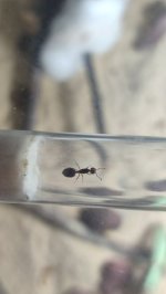 IMG_20260110_235048.jpg IMG_20260110_235048.jpg