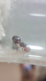 IMG_20260110_235144.jpg IMG_20260110_235144.jpg