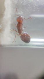 IMG_20260110_235140.jpg IMG_20260110_235140.jpg