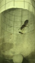 WhatsApp Image 2026-01-29 at 03.24.47.jpeg