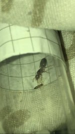 WhatsApp Image 2026-01-29 at 03.25.22.jpeg