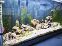 WhatsApp Image 2026-01-30 at 01.18.21 (1).jpeg