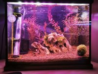 WhatsApp Image 2026-01-30 at 01.18.22 (1).jpeg