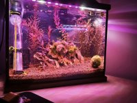 WhatsApp Image 2026-01-30 at 01.18.23.jpeg