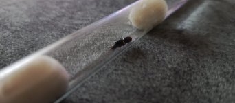 WhatsApp Image 2026-02-02 at 16.27.24.jpeg