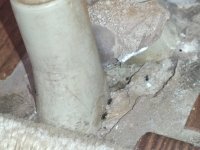 WhatsApp Image 2026-02-14 at 10.49.33 (1).jpeg