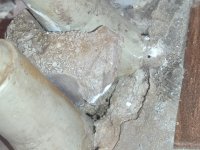 WhatsApp Image 2026-02-14 at 10.49.33.jpeg