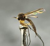 WhatsApp Image 2026-02-16 at 22.17.16.jpeg