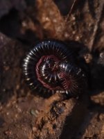 WhatsApp Image 2026-02-16 at 22.17.17.jpeg