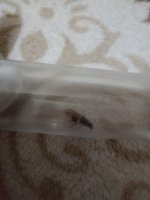 WhatsApp Image 2026-02-17 at 21.46.41.jpeg