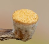 2026-02-22-14.35.22 ZS retouched-3.jpg