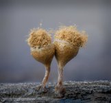 2026-02-21-23.34.30 ZS retouched-Edit-4.jpg