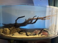 IMG_4085 2.jpg IMG_4085 2.jpg