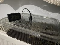 IMG_2756.jpeg IMG_2756.jpeg