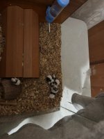 WhatsApp Image 2026-03-03 at 23.56.11 (2).jpeg WhatsApp Image 2026-03-03 at 23.56.11 (2).jpeg