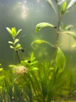 WhatsApp Image 2026-03-03 at 23.55.51 (1).jpeg WhatsApp Image 2026-03-03 at 23.55.51 (1).jpeg