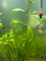 WhatsApp Image 2026-03-03 at 23.55.55 (3).jpeg