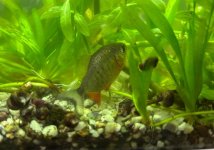 WhatsApp Image 2026-03-04 at 01.06.12 (1).jpeg WhatsApp Image 2026-03-04 at 01.06.12 (1).jpeg