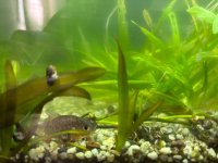 WhatsApp Image 2026-03-04 at 01.06.12.jpeg WhatsApp Image 2026-03-04 at 01.06.12.jpeg