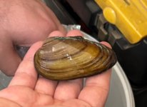 WhatsApp Image 2026-03-04 at 01.31.16.jpeg WhatsApp Image 2026-03-04 at 01.31.16.jpeg