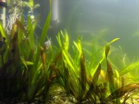 WhatsApp Image 2026-03-05 at 01.39.34 (4).jpeg