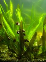 WhatsApp Image 2026-03-05 at 01.39.34.jpeg