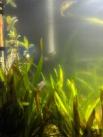 WhatsApp Image 2026-03-05 at 01.39.35 (1).jpeg