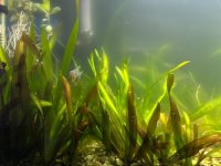 WhatsApp Image 2026-03-05 at 01.39.35 (3).jpeg