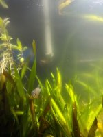 WhatsApp Image 2026-03-05 at 01.39.35.jpeg