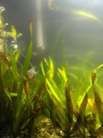 WhatsApp Image 2026-03-05 at 01.39.34 (2).jpeg